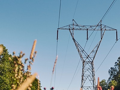 Bilde 1 av 1 i jobbannonse-galleriet