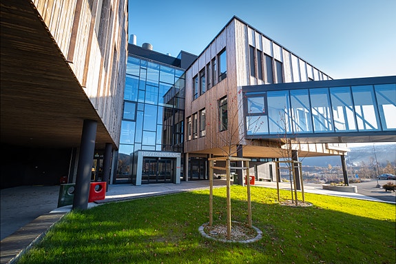 Bilde 1 av 1 i jobbannonse-galleriet