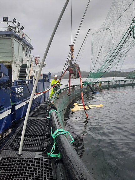 Bilde 2 av 4 i jobbannonse-galleriet