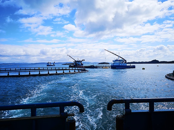 Bilde 3 av 4 i jobbannonse-galleriet