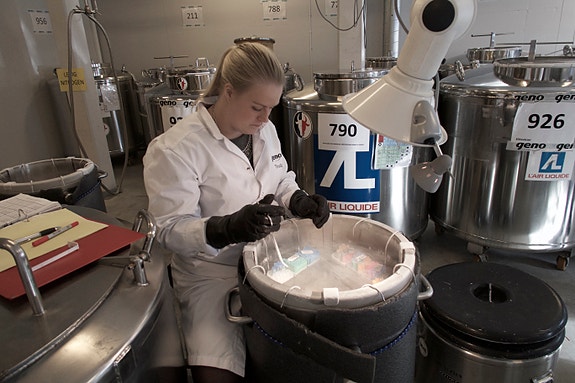 Bilde 3 av 5 i jobbannonse-galleriet