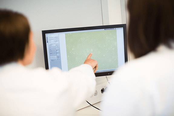 Bilde 2 av 5 i jobbannonse-galleriet