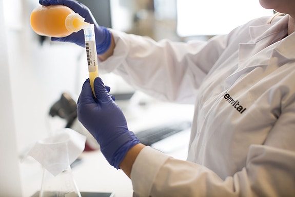 Bilde 5 av 5 i jobbannonse-galleriet