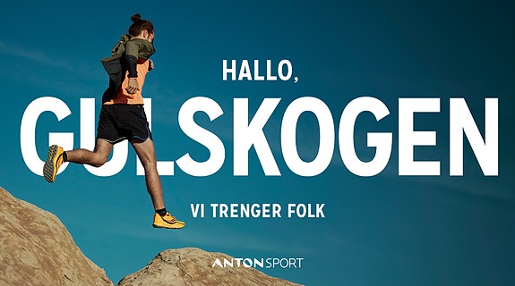 Bilde 1 av 1 i jobbannonse-galleriet