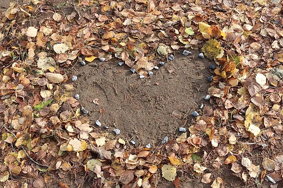 Bilde 2 av 3 i jobbannonse-galleriet