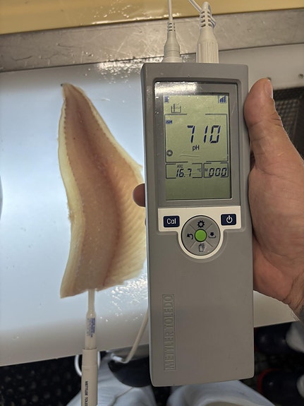 Bilde 1 av 3 i jobbannonse-galleriet