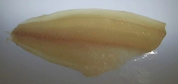 Bilde 3 av 3 i jobbannonse-galleriet