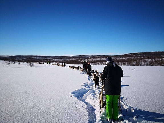 Bilde 2 av 3 i jobbannonse-galleriet