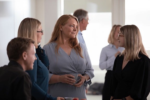 Bilde 1 av 1 i jobbannonse-galleriet