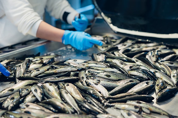 Bilde 3 av 5 i jobbannonse-galleriet