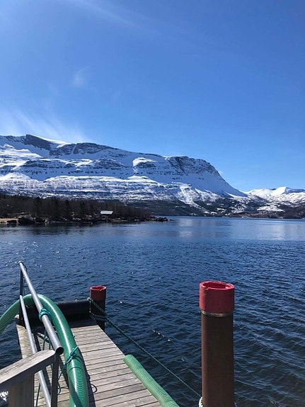 Bilde 4 av 5 i jobbannonse-galleriet