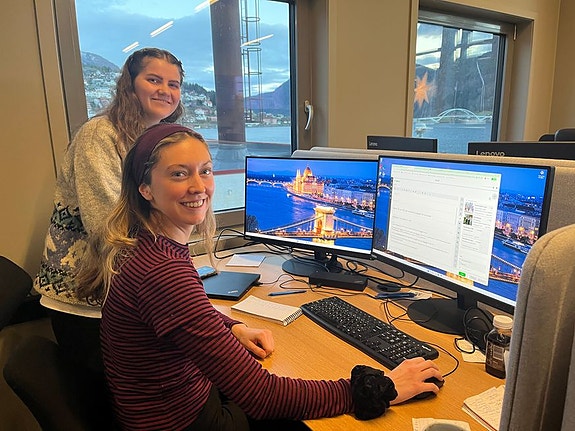 Bilde 2 av 2 i jobbannonse-galleriet