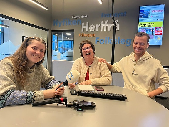 Bilde 1 av 2 i jobbannonse-galleriet