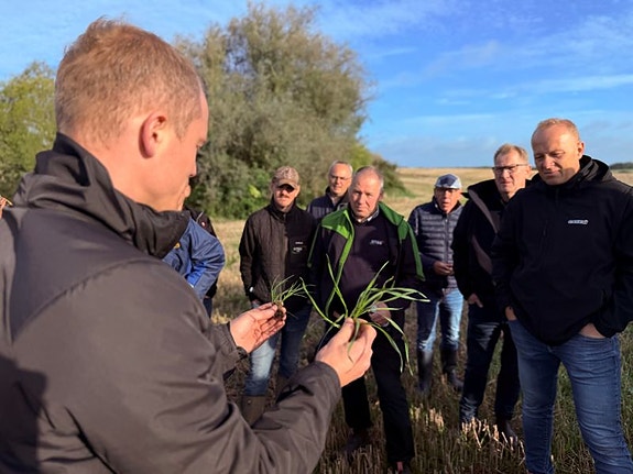 Bilde 5 av 6 i jobbannonse-galleriet