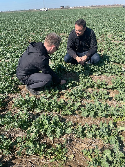 Bilde 4 av 6 i jobbannonse-galleriet