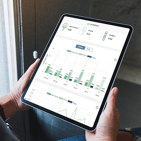 Bilde 1 av 5 i jobbannonse-galleriet