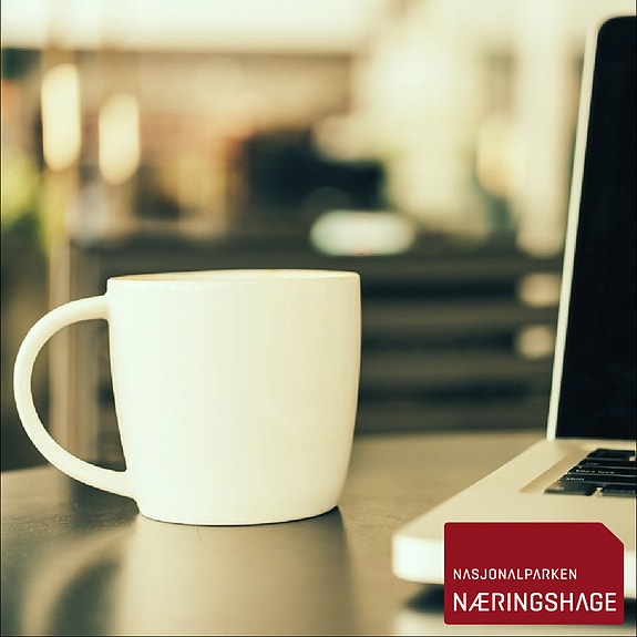 Bilde 1 av 3 i jobbannonse-galleriet