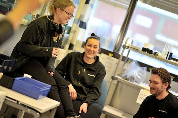 Bilde 5 av 9 i jobbannonse-galleriet