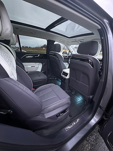 Hongqi E-HS9 13 of 19