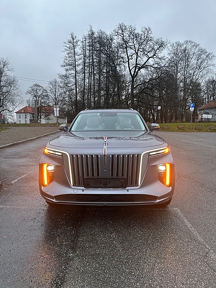 Hongqi E-HS9 8 of 19