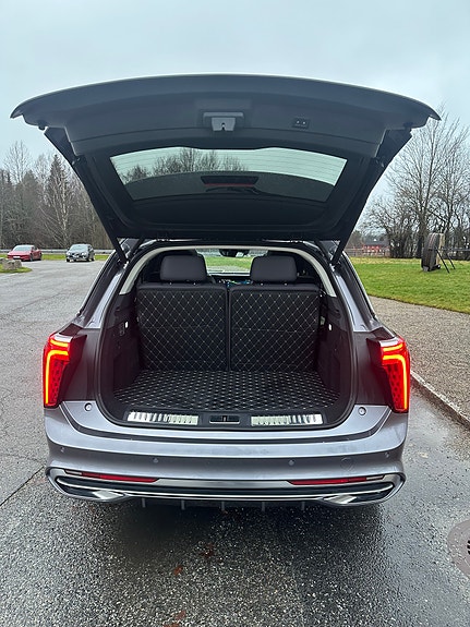 Hongqi E-HS9 9 of 19