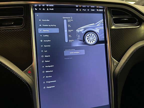 Tesla Model X 19 of 30