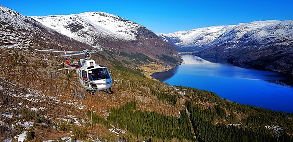 Bilde 6 av 10 i jobbannonse-galleriet