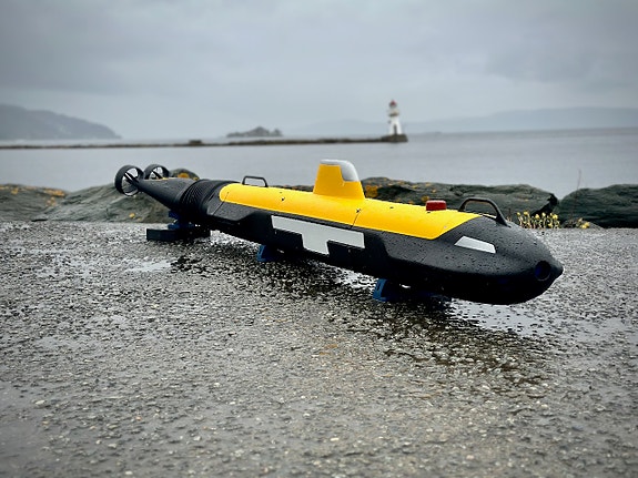 Bilde 1 av 1 i jobbannonse-galleriet