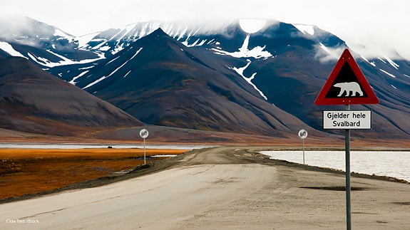 Bilde 2 av 3 i jobbannonse-galleriet