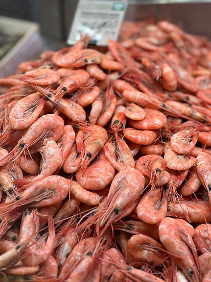 Bilde 2 av 3 i jobbannonse-galleriet