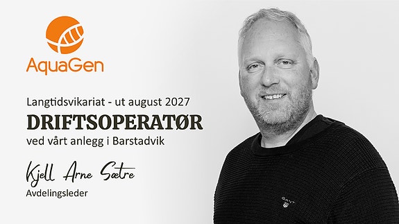 Bilde 1 av 1 i jobbannonse-galleriet