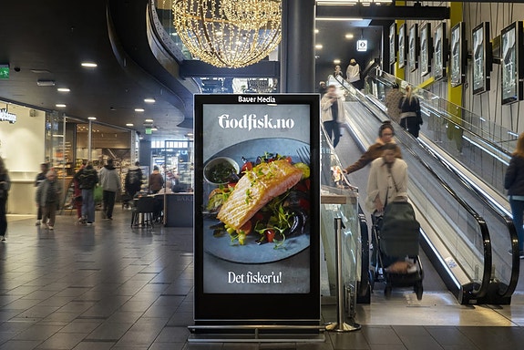 Bilde 2 av 2 i jobbannonse-galleriet
