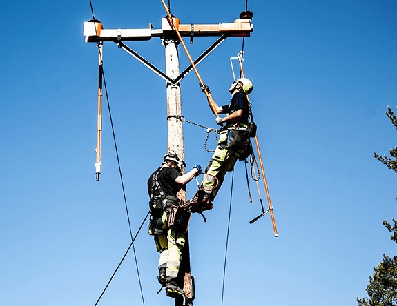 Bilde 1 av 1 i jobbannonse-galleriet