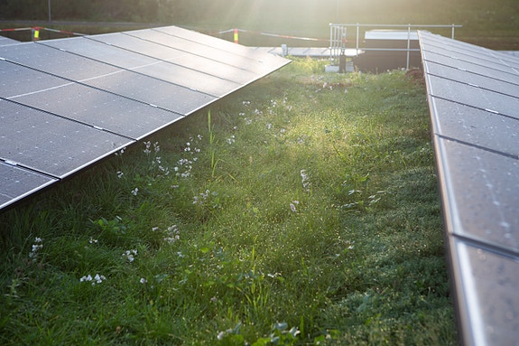 Bilde 1 av 1 i jobbannonse-galleriet