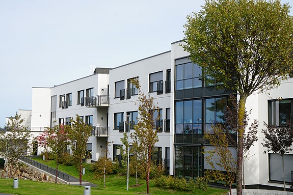 Bilde 1 av 5 i jobbannonse-galleriet