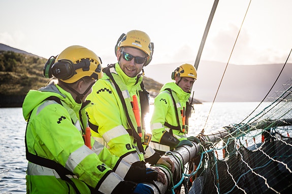 Bilde 1 av 3 i jobbannonse-galleriet