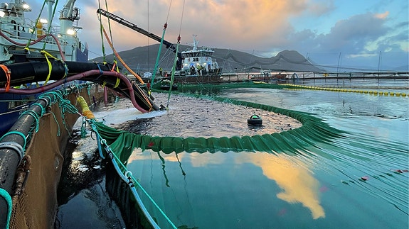 Bilde 4 av 6 i jobbannonse-galleriet