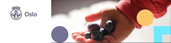 Oslo kommune logo
