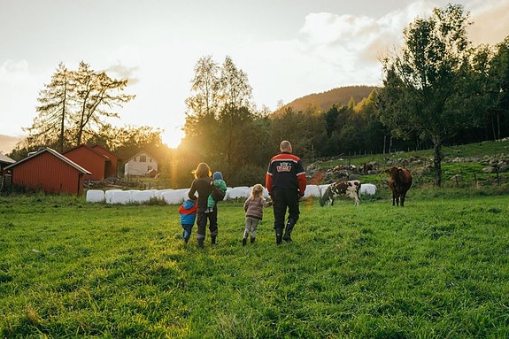 Bilde 1 av 1 i jobbannonse-galleriet
