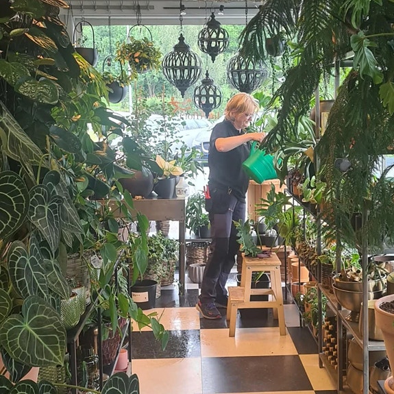 Bilde 2 av 10 i jobbannonse-galleriet