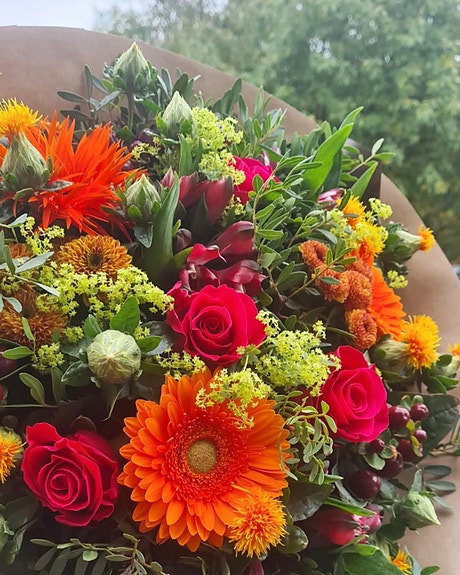 Bilde 4 av 10 i jobbannonse-galleriet