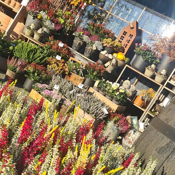 Bilde 6 av 10 i jobbannonse-galleriet