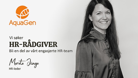 Bilde 1 av 1 i jobbannonse-galleriet