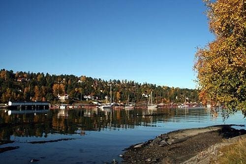 Bilde 1 av 1 i jobbannonse-galleriet