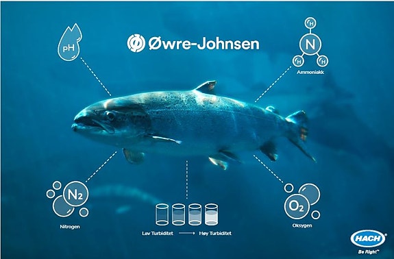 Bilde 3 av 10 i jobbannonse-galleriet