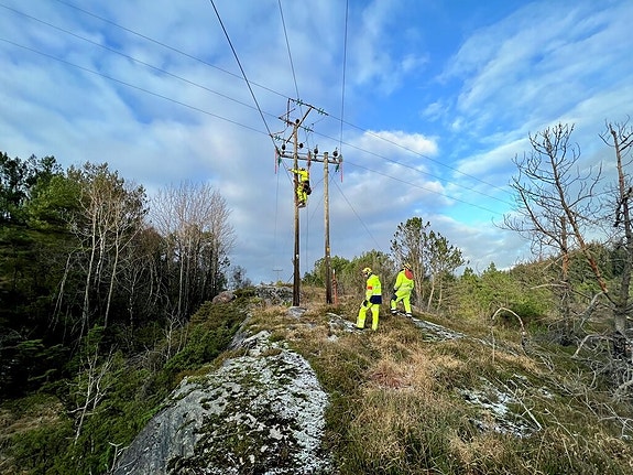 Bilde 3 av 7 i jobbannonse-galleriet