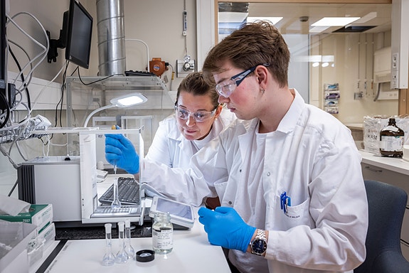 Bilde 4 av 7 i jobbannonse-galleriet