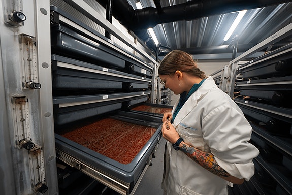 Bilde 1 av 1 i jobbannonse-galleriet