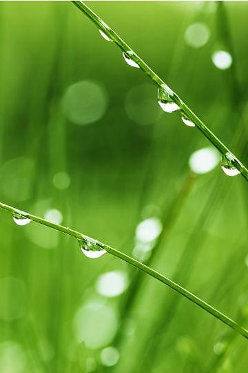 Bilde 6 av 9 i jobbannonse-galleriet