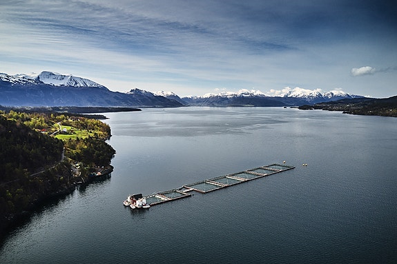 Bilde 4 av 5 i jobbannonse-galleriet